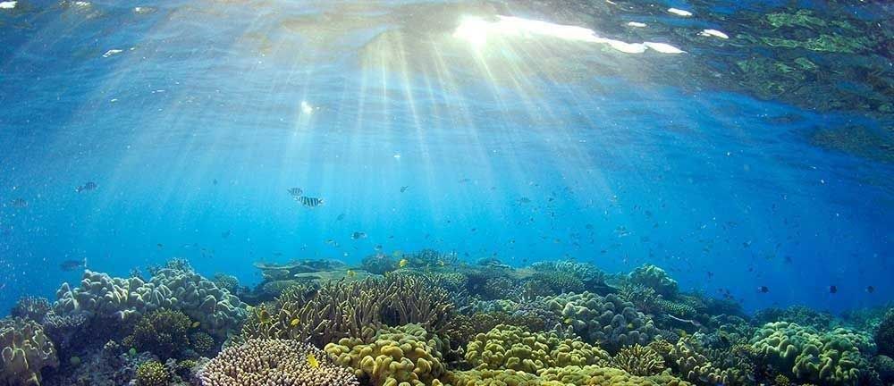 Visado-Australia-gran-arrecife-de-coral-submarino