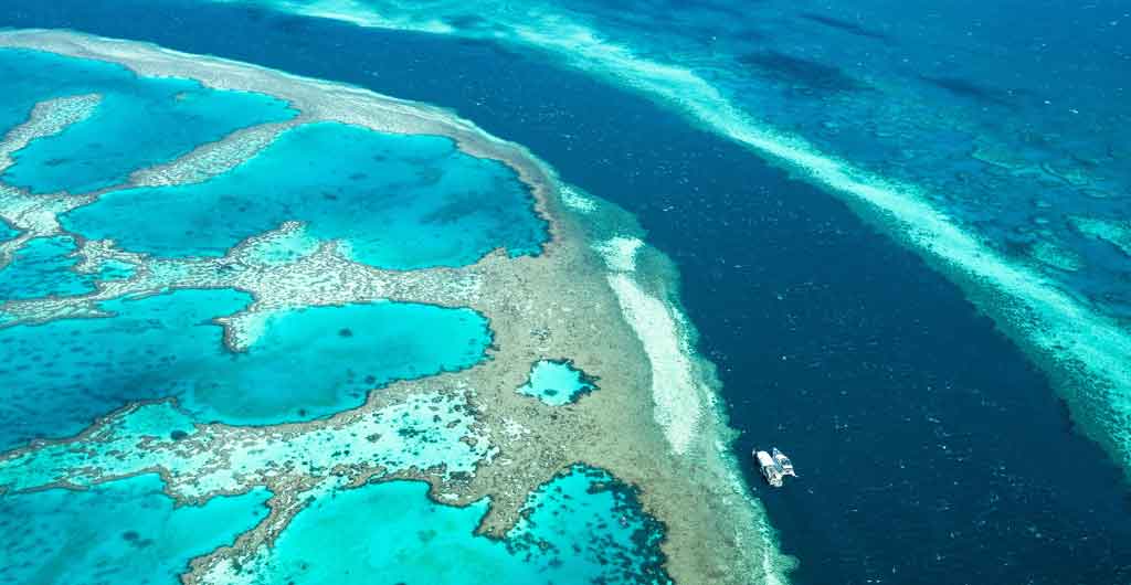 Viaje-a-Australia-Gran-Arrecife-de-Coral