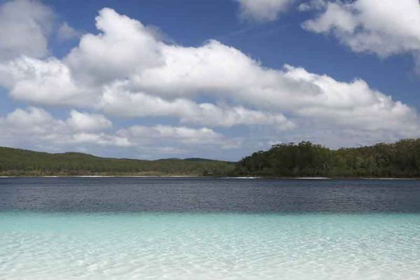 Visite la isla de Fraser