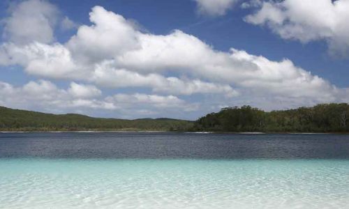 Visite la isla de Fraser